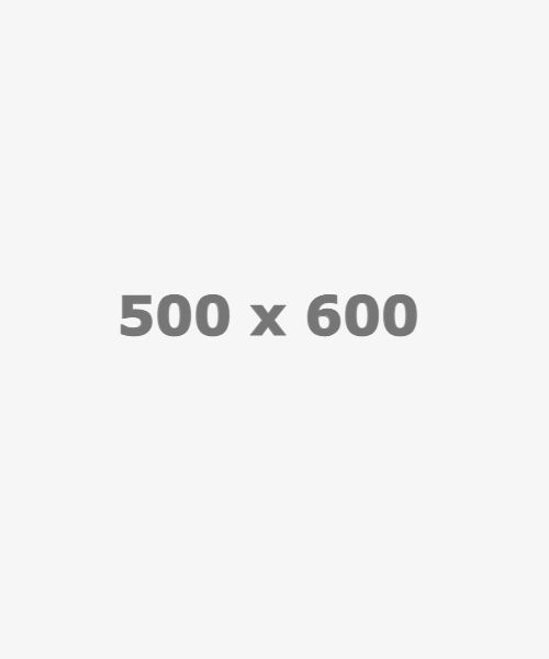 placeholder 500x600 1 1